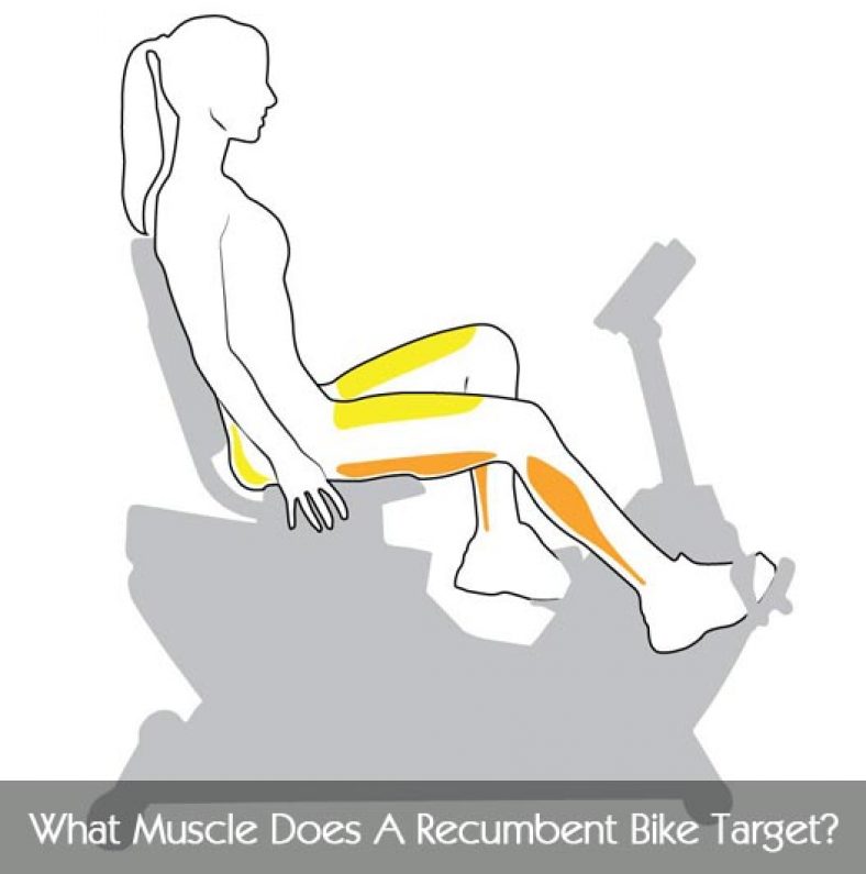 Exercise Bike Benefits, Workouts, and More Lafitness Reviews