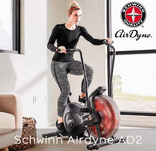 Schwinn Airdyne AD2