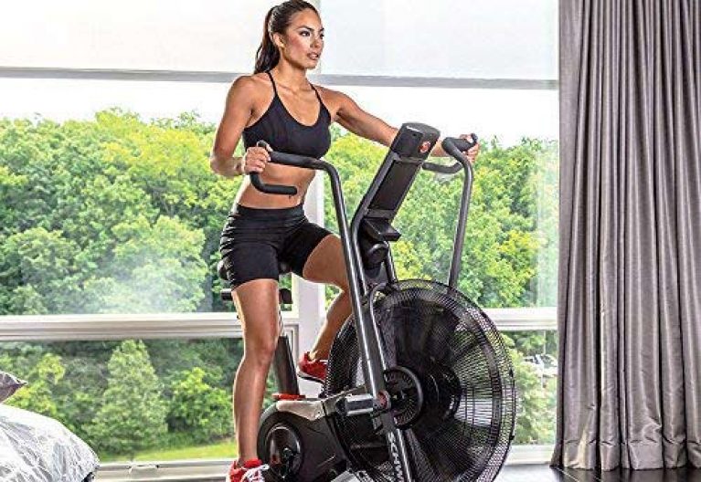 schwinn airdyne ad7 vs rogue echo