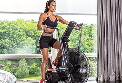 Schwinn Airdyne AD7