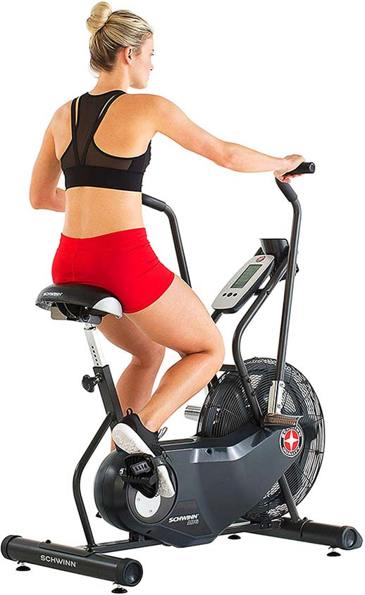 schwinn airdyne model comparison