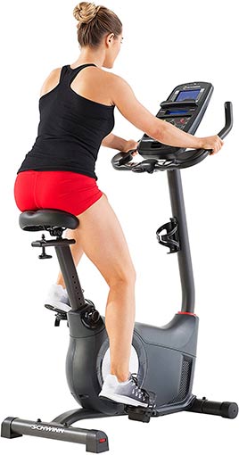 Schwinn 170 upright bike characteristics