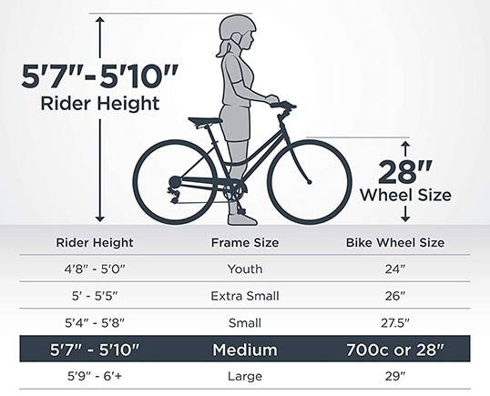 Hybrid Bike 28 inch wheel size