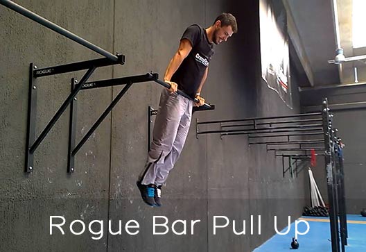 Rogue Fitness bar pull up variations