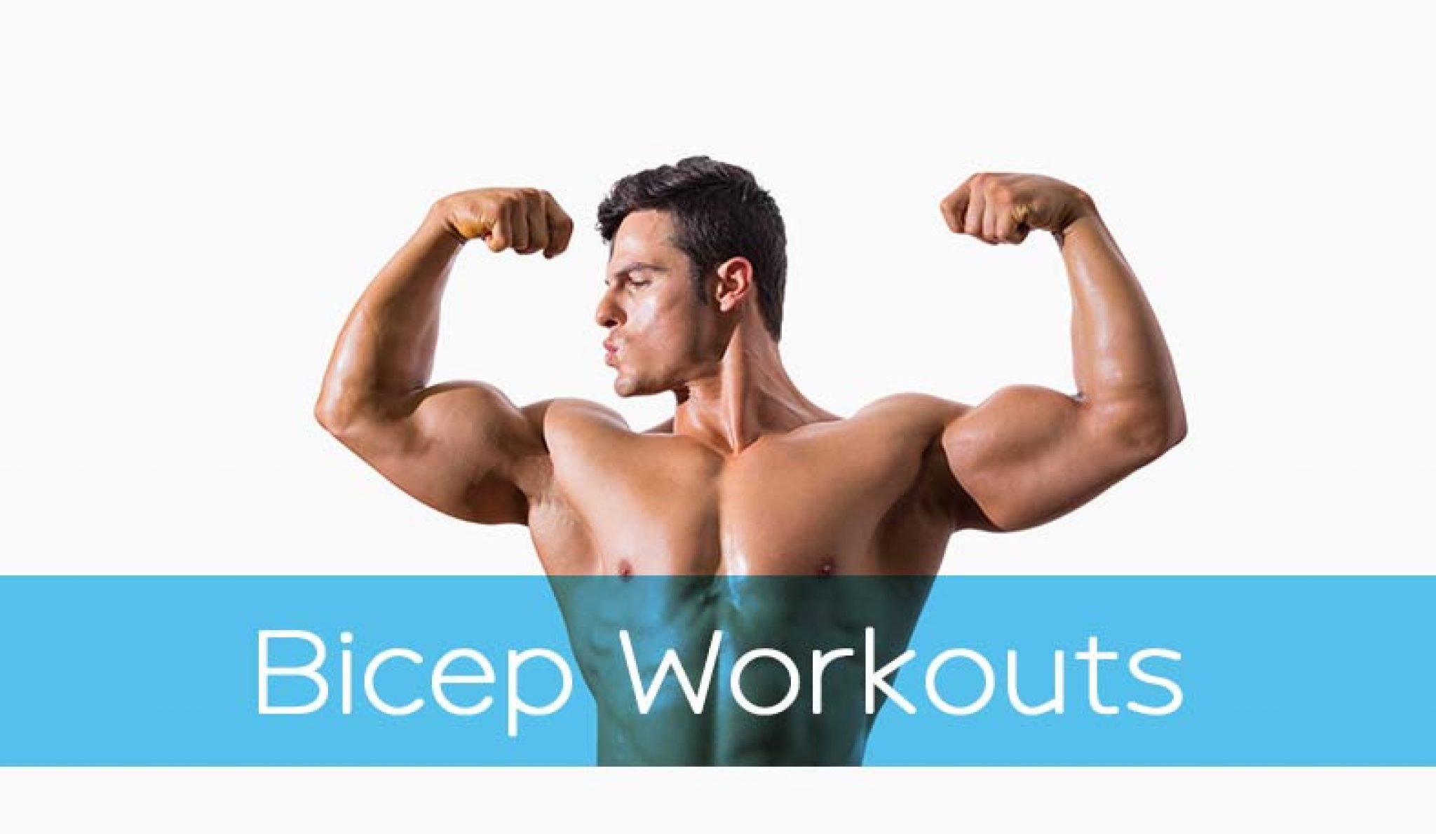 Bicep Workouts You Can Do at Home Without Weights Lafitness Reviews