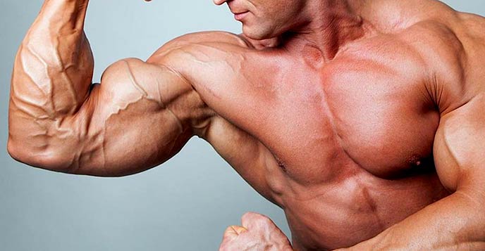 Elements to achieve bigger biceps