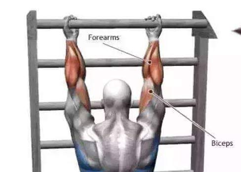 biceps workouts with no weights - Pull-ups