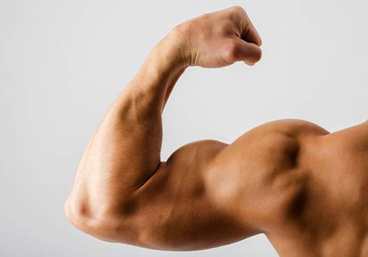 the benefits of strong biceps