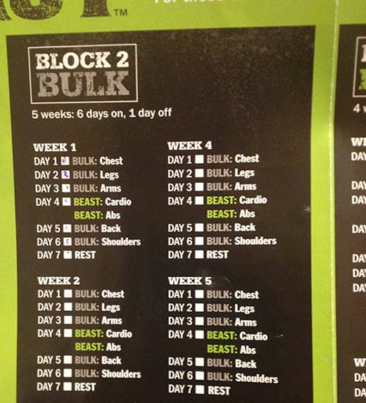 Body Beast Bulk Workout Schedule