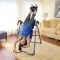 Top 5 Best Inversion Table