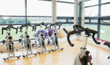 Exercise Bike Benefits, Workouts, and More