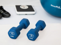 Why are urethane dumbbells so expensive? [Cheaper Alternatives]